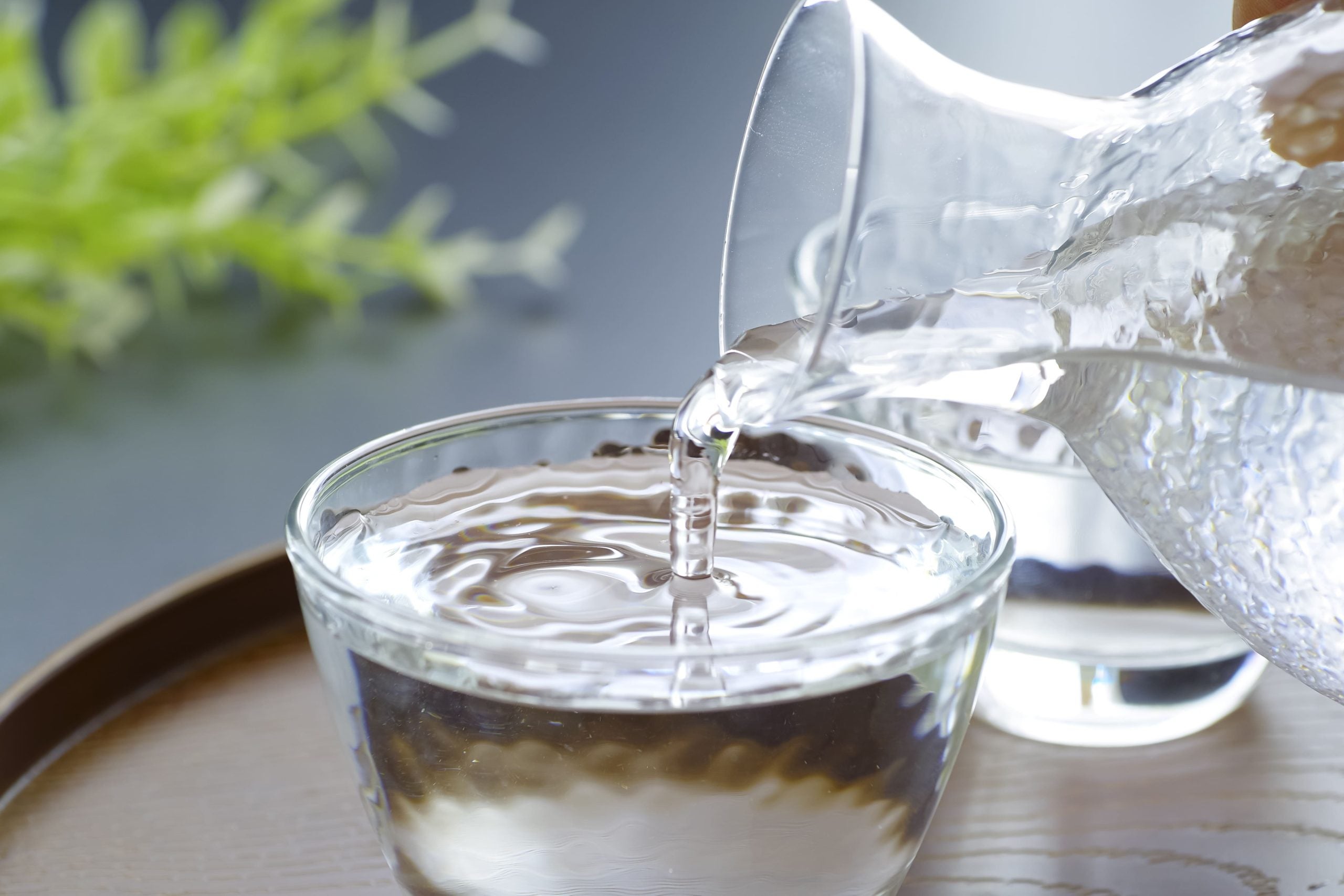 名水あるところ銘酒あり！ 静岡吟醸で乾杯！｜特集 | リビング静岡Web