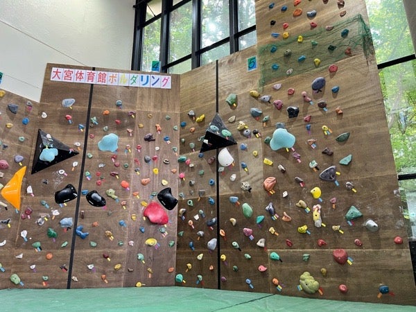 見沼区】木登り好きな人この指とまれ！さいたま市大宮体育館