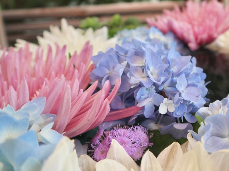 東区】住宅街にひそむ穴場の花手水「瑞玄寺」季節の素敵なお花に出逢う