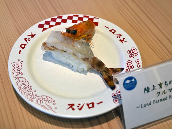 スシロー スシロー 歌島店 (大阪市) の口コミ18件 - トリップアドバイザー