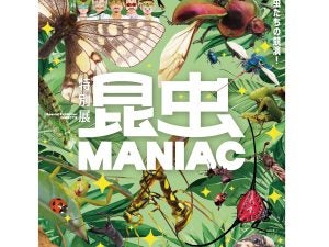 チケットプレゼント】9月23日（祝・火）まで特別展「昆虫 MANIAC」開催