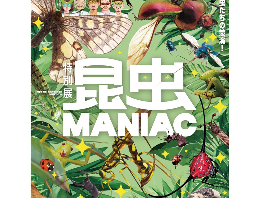 チケットプレゼント】9月23日（祝・火）まで特別展「昆虫 MANIAC」開催
