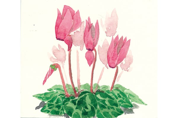 泉中央】水彩画入門｜リビングカルチャー倶楽部 | リビング仙台Web