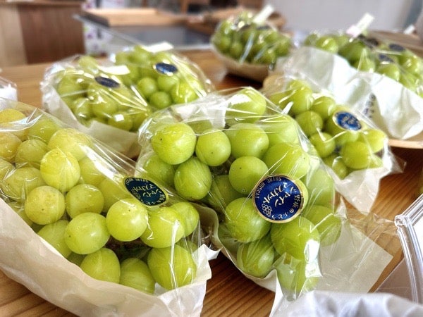 爽やかぶどう 葡萄 猫 5個セット 爽やかぶどう 葡萄 猫 5個セット