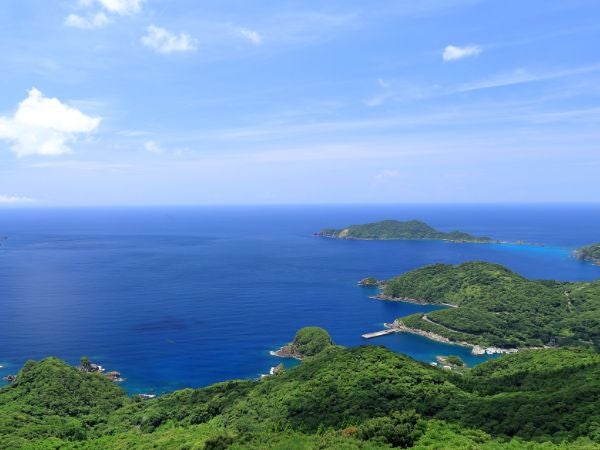 港も見えます