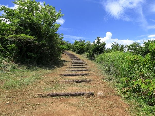 入口の左側の道