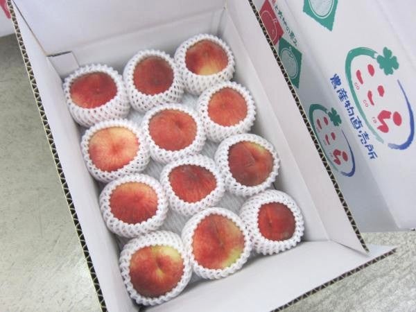 桃の節句ちょっと進歩 非売品→完成！別の場所にアップしました トピックス | JAふくしま未来