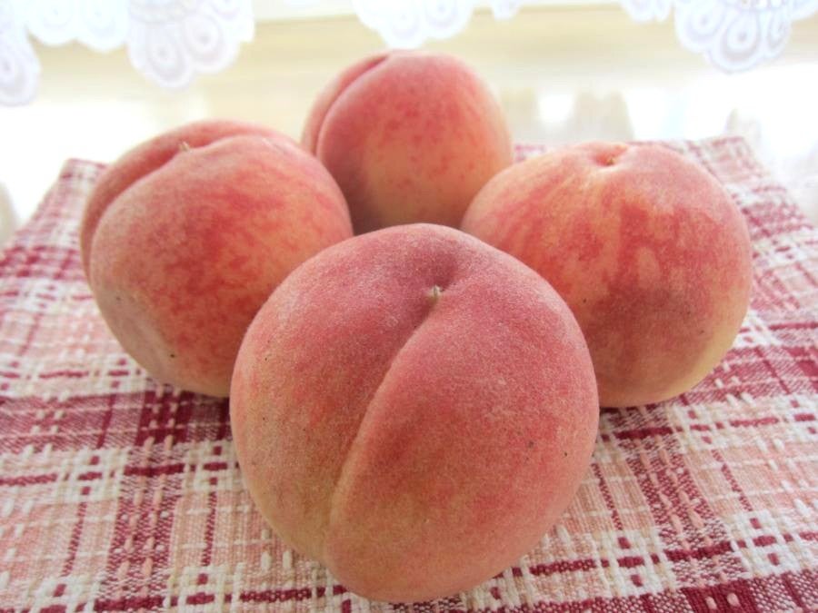 福島市】旬の桃を買いに・・・農産物直売所「ここら」へ | リビング