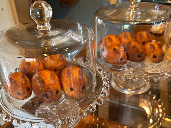 うさぎのはちみつマドレーヌ兄弟に一目惚れ！ パンと焼き菓子、多肉