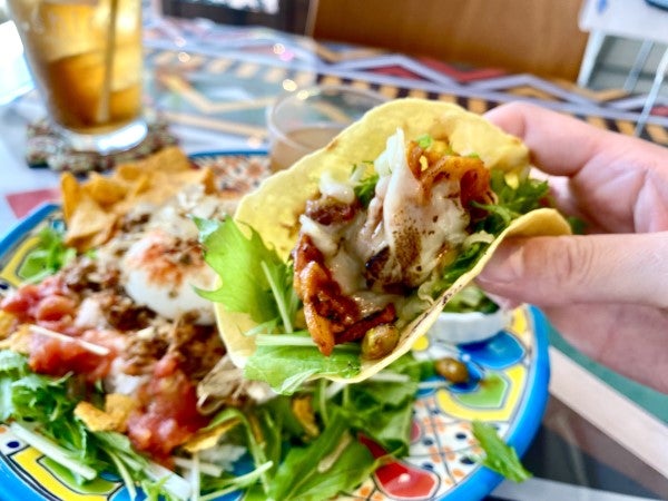 堺】楽しくなる空間と種類豊富で彩り豊かなタコスランチ「shiro（シロ