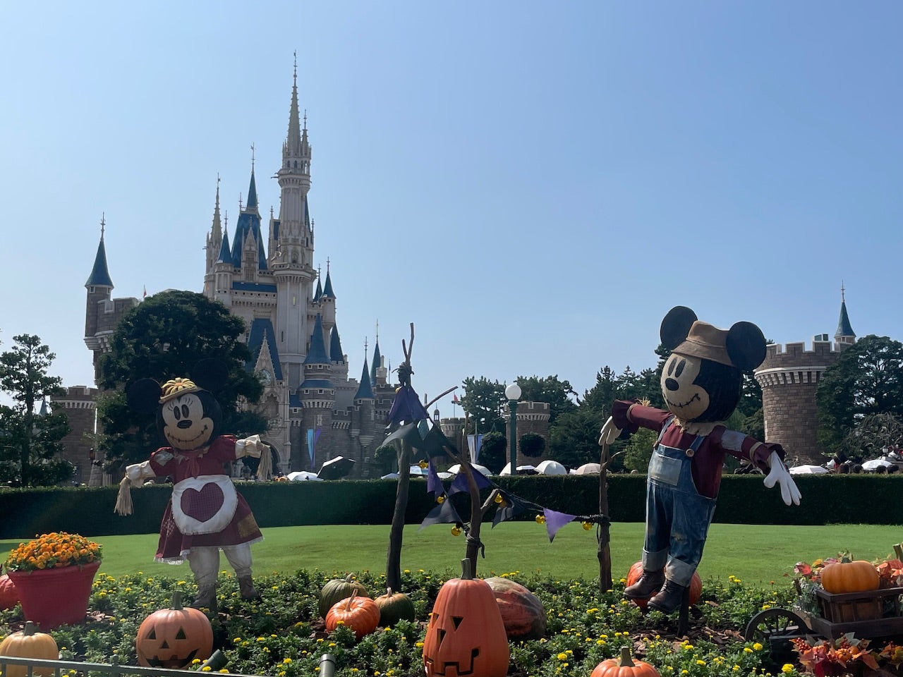 Disney ハロウィ－ン　ベッド装飾⭐︎ コスビ】『ディズニー』シリーズ1 ハロウィン | 株式会社ホット