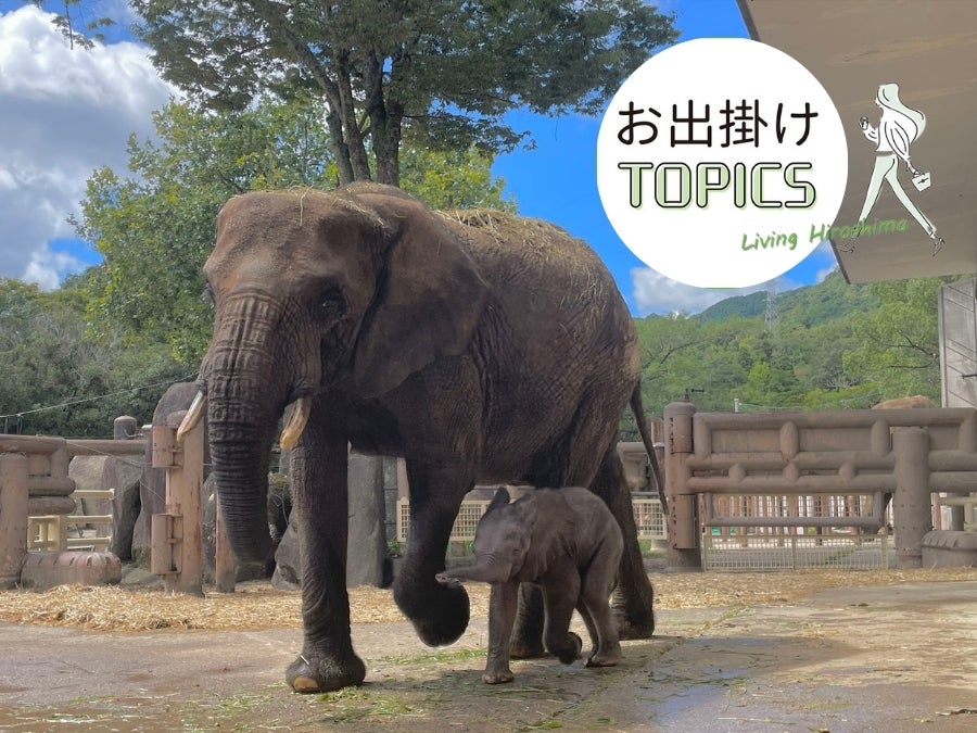 棟方志功展、もみじ祭り2025、安佐動物公園の秋祭り、須田国太郎が