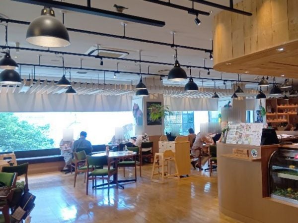 藤崎本館にある隠れ家カフェ！ 地産地消ランチは1000円台から【ケヤキ