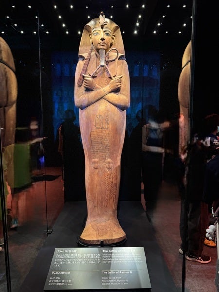 豊洲】まるで古代エジプトにワープ!? 「ACN ラムセス大王展 ファラオ