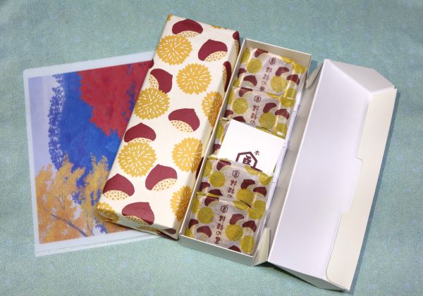 広尾】山種美術館【特別展】「日本画聖地巡礼2025 ―速水御舟、東山魁夷