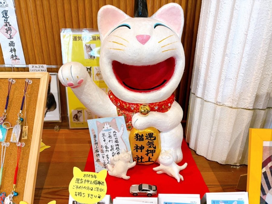 茂木】カフェでニャンと運気爆上がり？！「Gコンセプトミュージアム