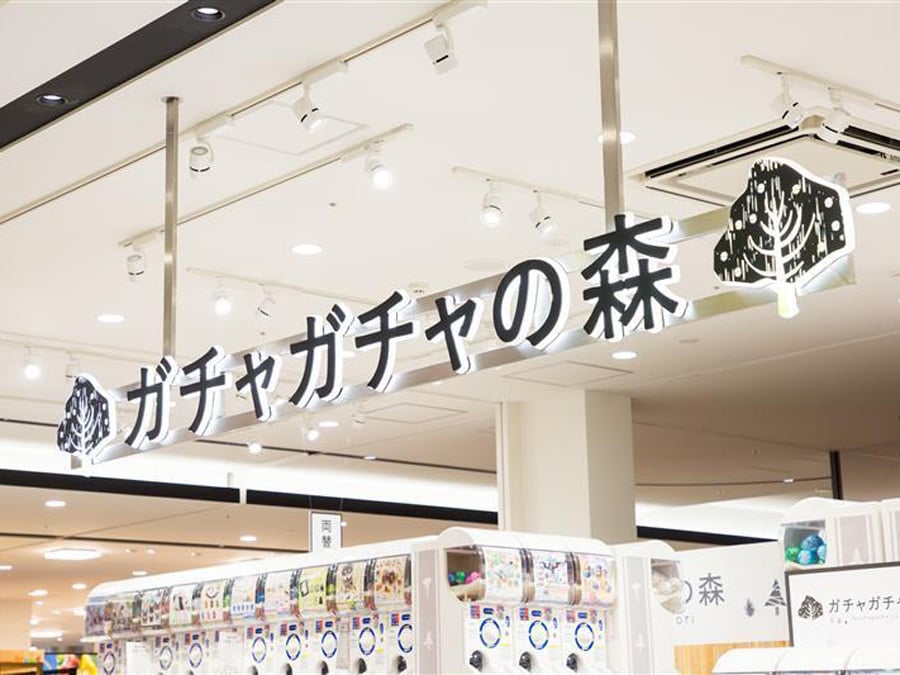 北海道初上陸】11/14（金）道内最大級「ガチャガチャの森」が