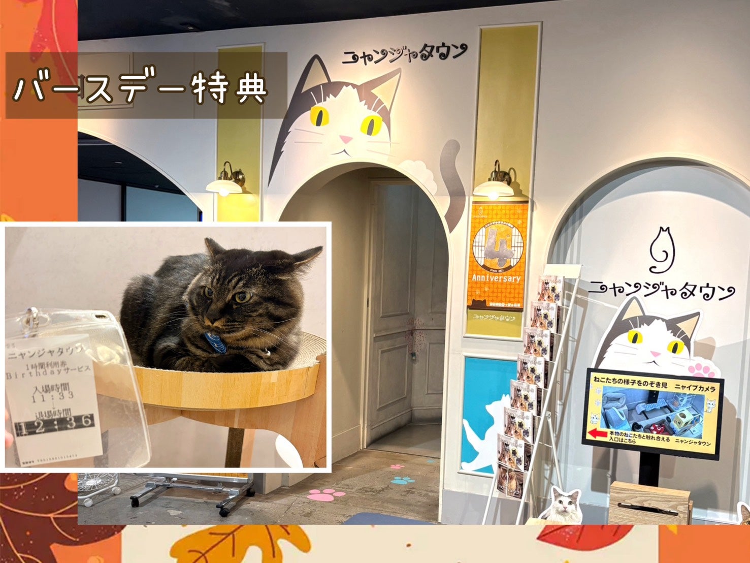 バースデー特典5】誕生日当日は、ナンジャタウンパスポート