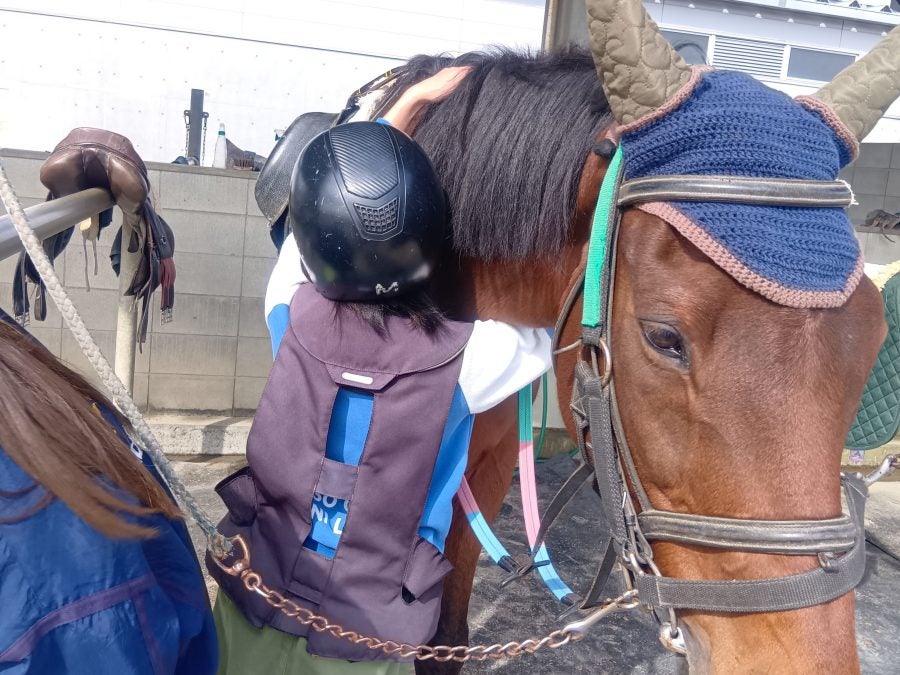サラブレッドに触れて癒されて 初めて馬に乗ってみた「海岸公園馬術場