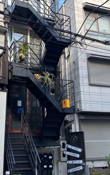 西荻窪】アサイーボウル×ビカクシダ BIKAKUSHOP（ビカクショップ