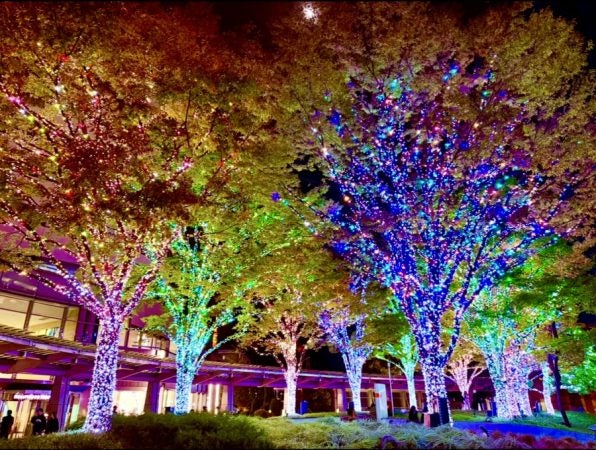 「夜明けの輝き」 六本木ヒルズが輝く夜 ― 93万灯の『けやき坂イルミネーション』と