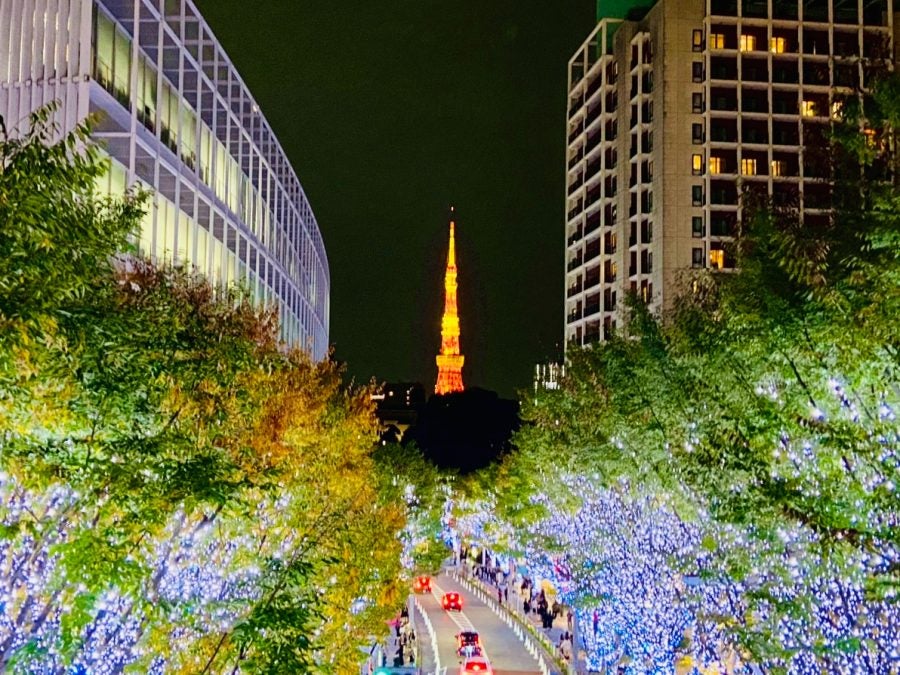 「夜明けの輝き」 $_57.JPG?set_id=880000500F