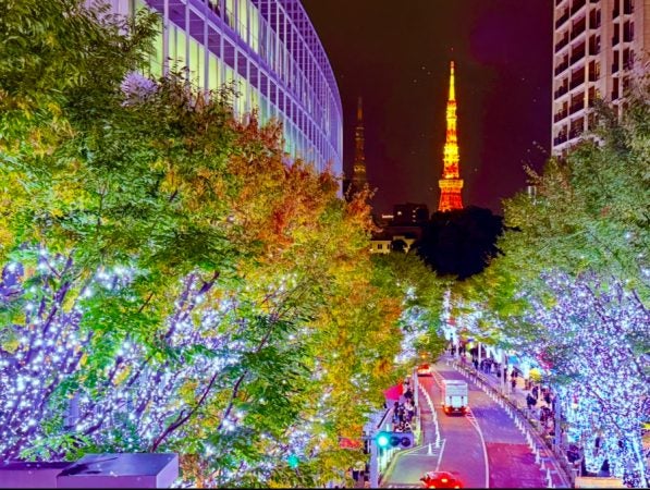 六本木ヒルズが輝く夜 ― 93万灯の『けやき坂イルミネーション』と