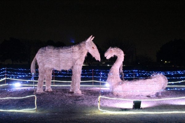行田】古代蓮の里で輝くイルミネーション＆干支のわらアートも登場