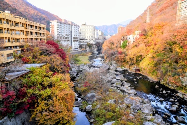 鬼の階段|日光市の観光名所|リビング栃木WEB | リビング栃木Web