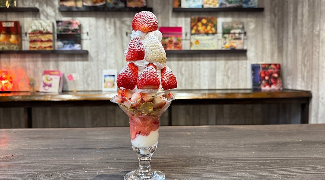 鹿沼市】苺農家が手がける、鹿沼のフルーツパーラー!「イチゴノトリコ