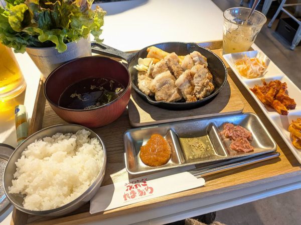 二子玉川】野菜がまるで植木鉢！「ぶたこたまがわ」の韓国ランチが神