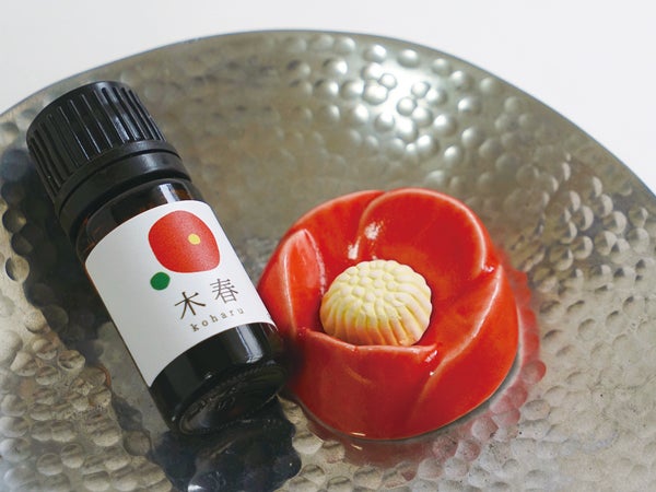 日々の暮らしに、椿の彩り【椿モチーフ、集めました】｜特集