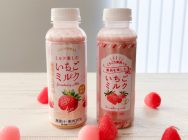 ファミマ】違いはあるの？いちご果肉ゴロゴロの大人気いちごミルク2