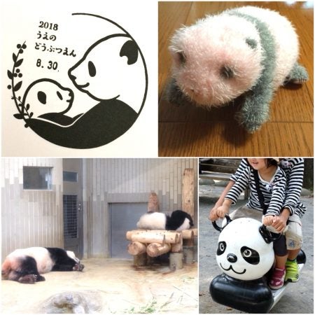 パンダちゃんありがとう！】ついに日本で観られるパンダちゃんがゼロに