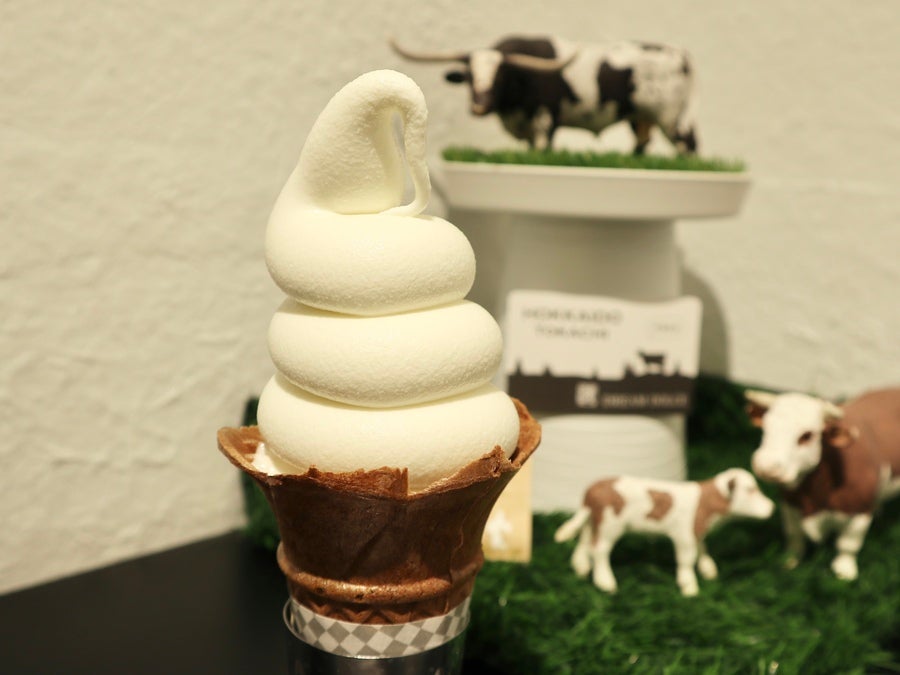 中央区】濃厚ふわもこソフトクリーム500円！「椿・DREAM DOLCE（ツバキ