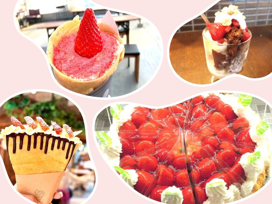 吹田・箕面・高槻・茨木・池田】イチゴタルトやいちご狩りスポットなど