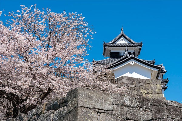 4/14（火）松平定信ゆかりの白河・春の南湖公園と白河小峰城＆名物割子