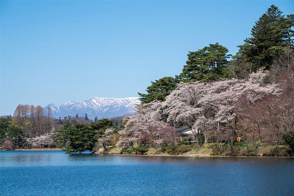 4/14（火）松平定信ゆかりの白河・春の南湖公園と白河小峰城＆名物割子