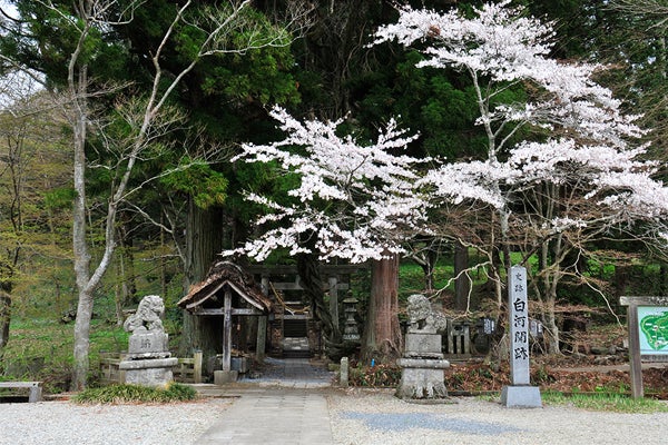 4/14（火）松平定信ゆかりの白河・春の南湖公園と白河小峰城＆名物割子
