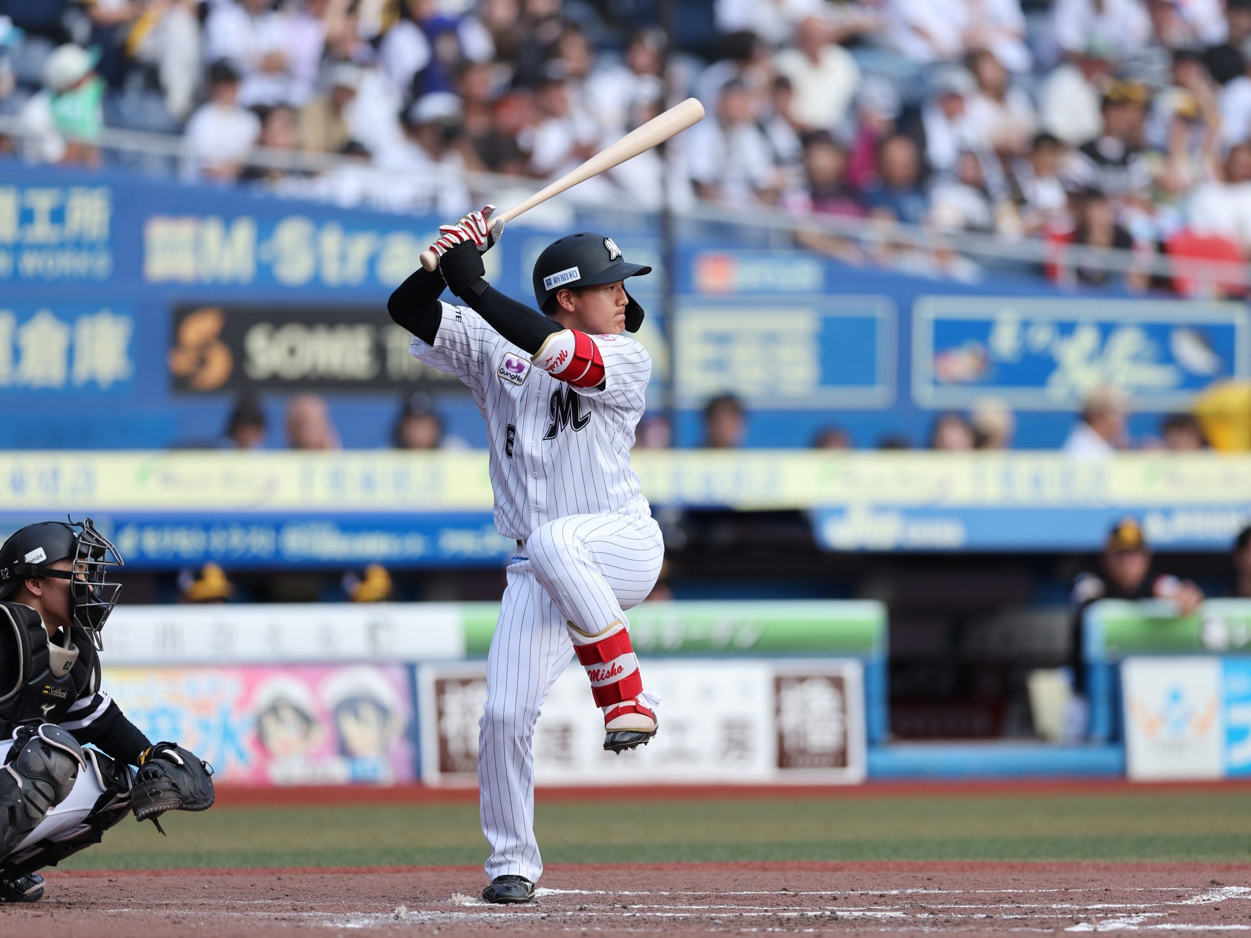 3/27（金）ホームで開幕戦】千葉ロッテマリーンズを大特集！｜特集