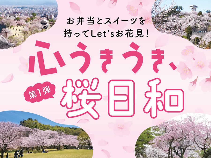 第1弾】お弁当とスイーツを持ってLet'sお花見！愛媛の桜スポットを紹介
