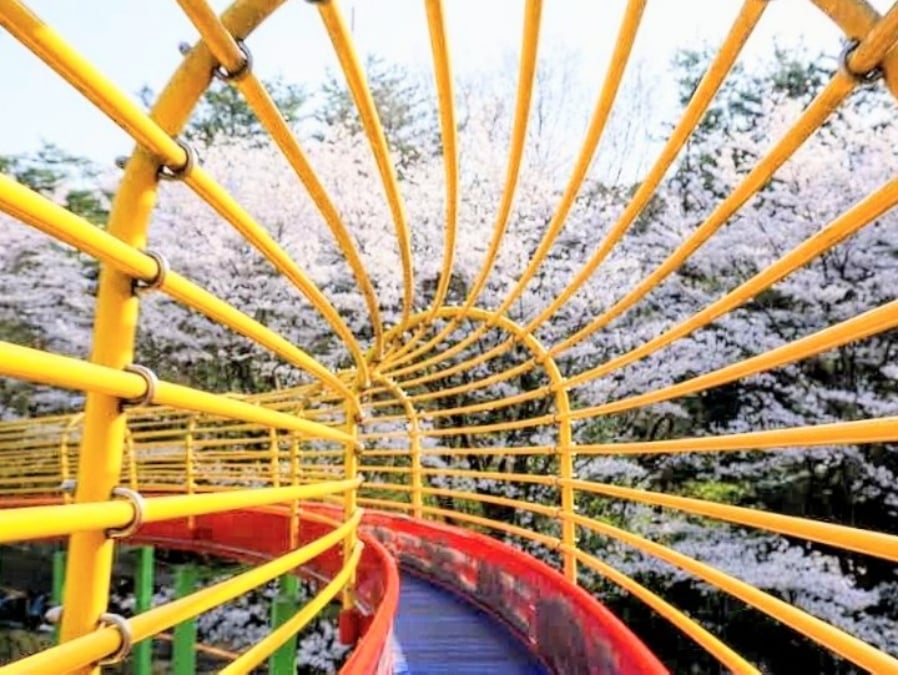 八幡山公園|宇都宮市の公園|リビング栃木WEB | リビング栃木Web