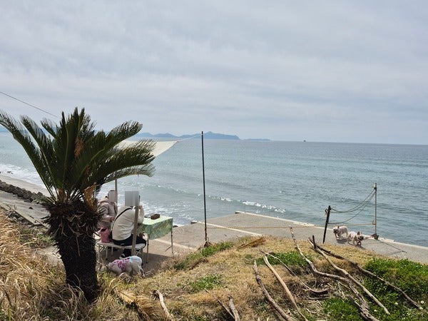 テラス席はペット同伴OK