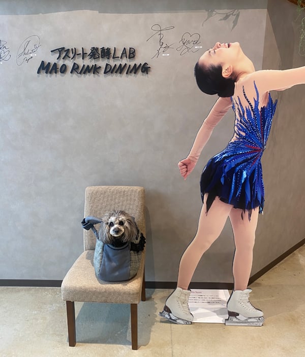 立川】店内ワンコOK！のカフェダイニング「アスリート発酵LAB MAO RINK