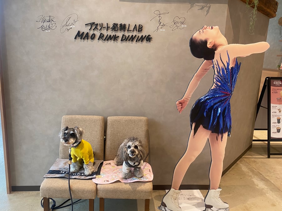 立川】店内ワンコOK！のカフェダイニング「アスリート発酵LAB MAO RINK