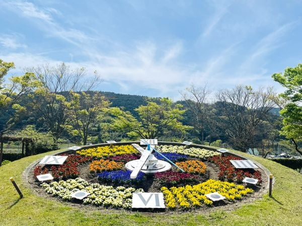 東温】花時計や立体花壇もある！四季折々の花が楽しめる施設