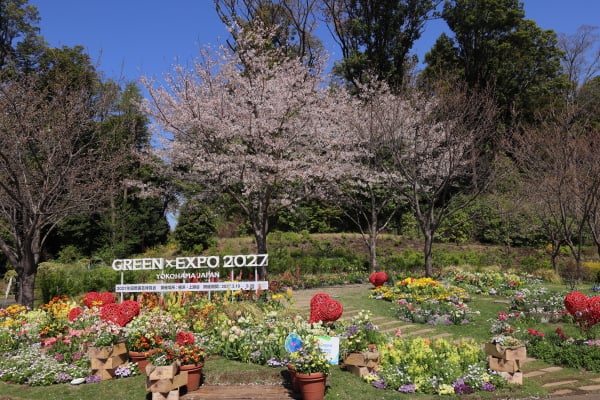 中山】GREEN×EXPO 2027に向けて～朝焼け色に染まる里山ガーデン