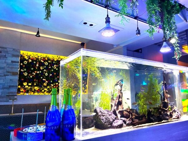 小倉北区】まるで深海！アクアリウムダイニング「サカナノセカイ