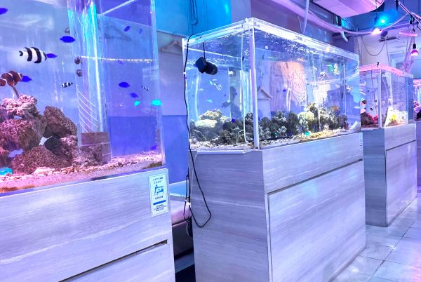 小倉北区】まるで深海！アクアリウムダイニング「サカナノセカイ