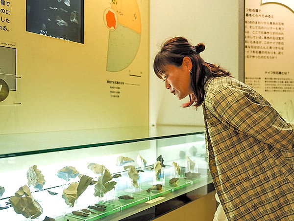 旧石器時代の仙台に思いをはせて「そこが知りたい！ 仙台市 地底の森